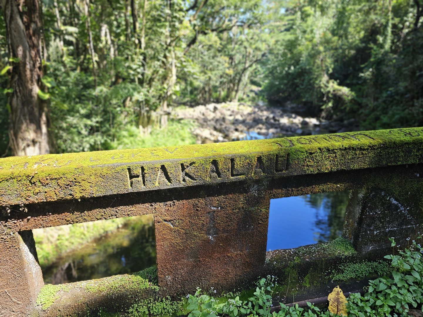 The old Hakalau bridge railing over the stream