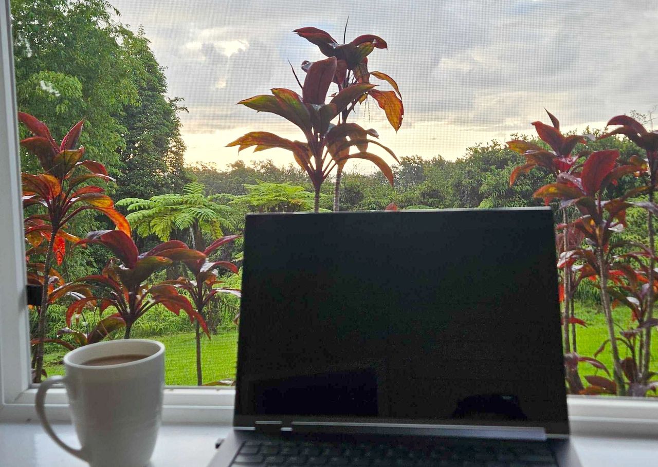 Laptop and morning coffee at the window, looking over the garden at sunrise