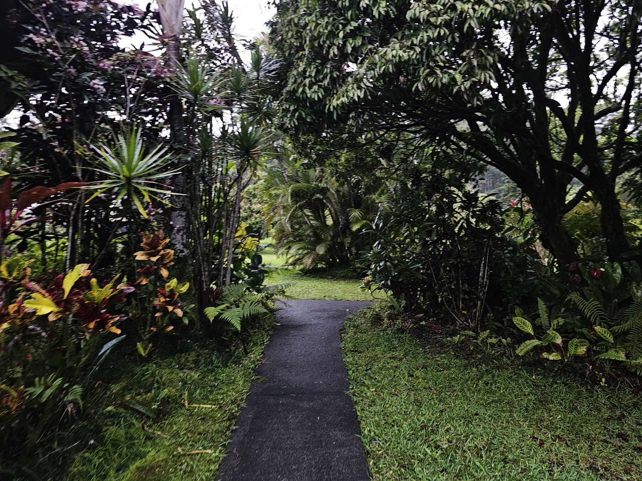 Garden path to the residence
