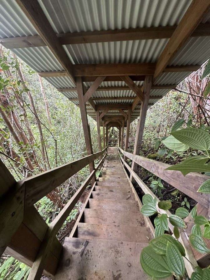 Covered wooden stairway down to the property's waterfall
