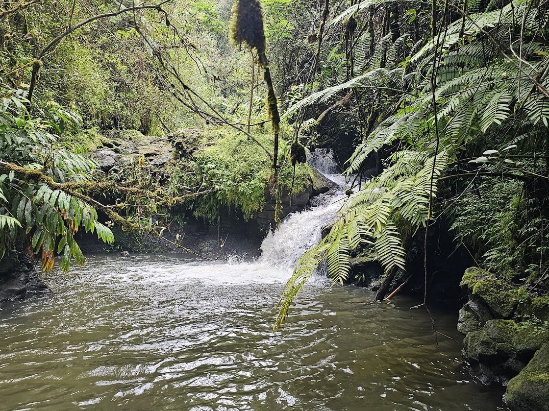 The property's private waterfall